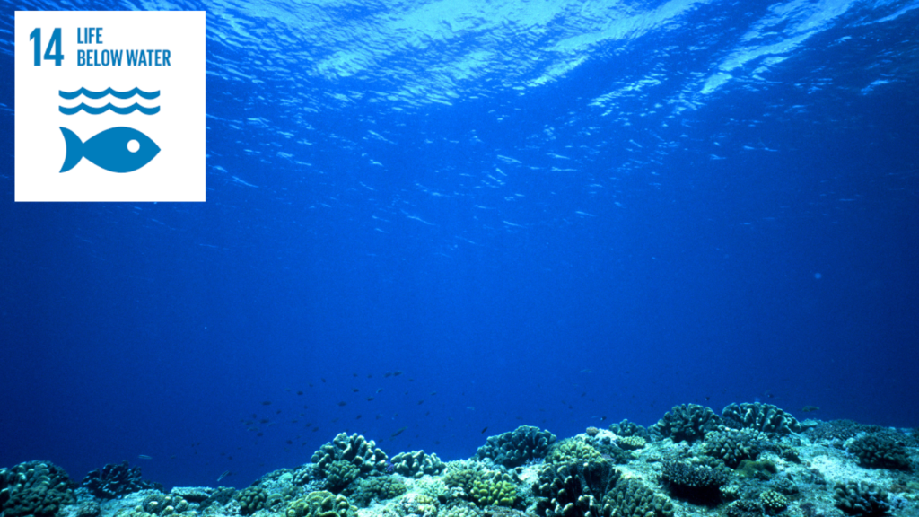 Zero Liquid Discharge