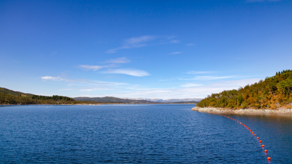 Zero Liquid Discharge Solutions