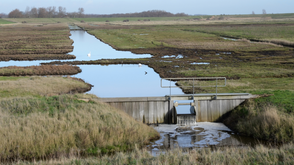wastewater management